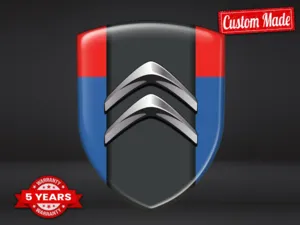 Citroen Vinilos Auto Personalizados Alta Calidad Profesional